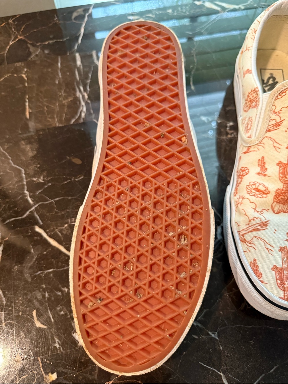 Vans Slip-On Sneakers in Cream with Orange Cactus Print - Picture 2 of 4